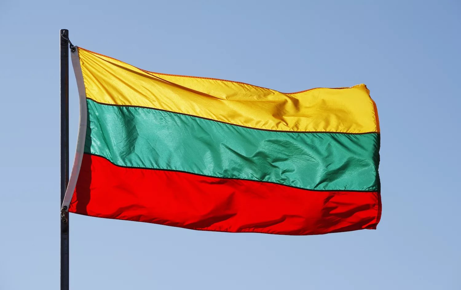 Морозов призвал прекратить контракты по поставкам электроэнергии в Литву
