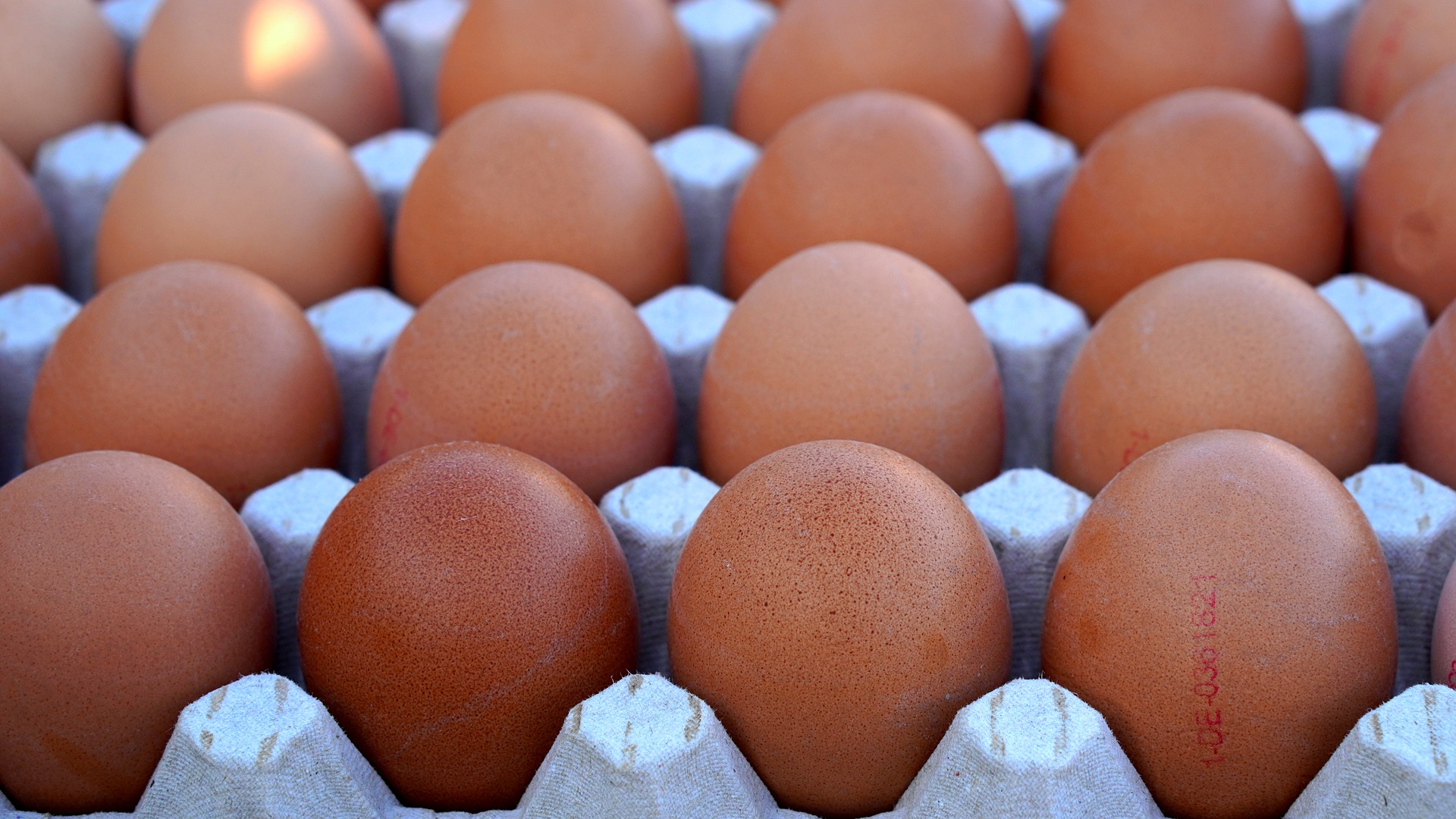 Делягин спрогнозировал цены на яйца в 2024 году 