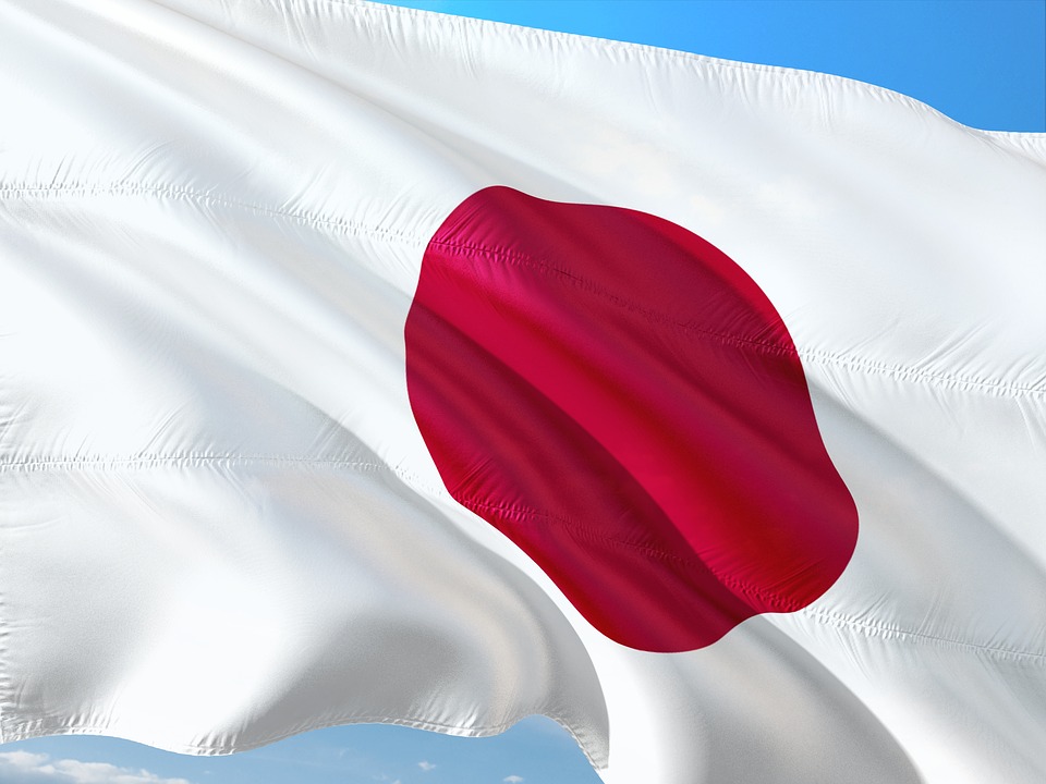 Депутат назвал санкции Японии попыткой Токио показать лояльность Вашингтону